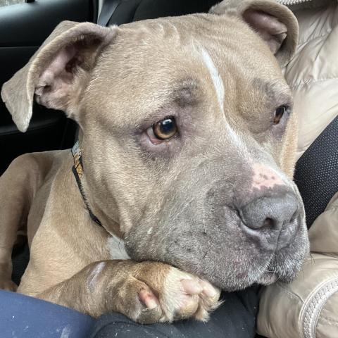 Photo for 158463 [fr158463]