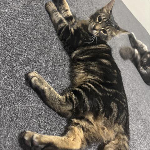 Photo for 158467 [Bug]