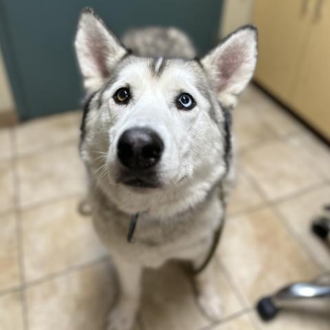 Photo for 158486 [Churchill]