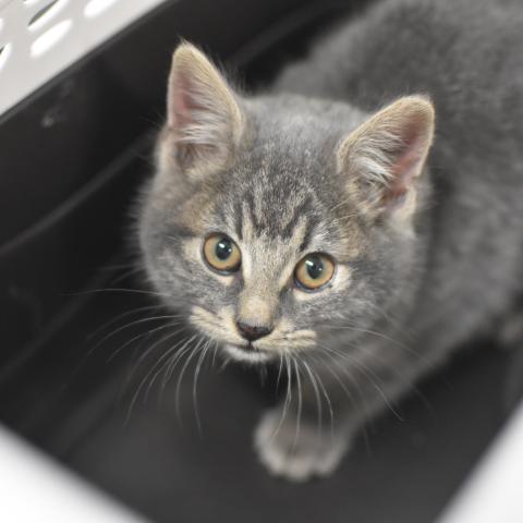 Photo for 158516 [344586]