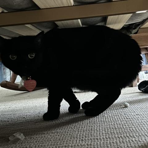 Photo for 158544 [Thena]