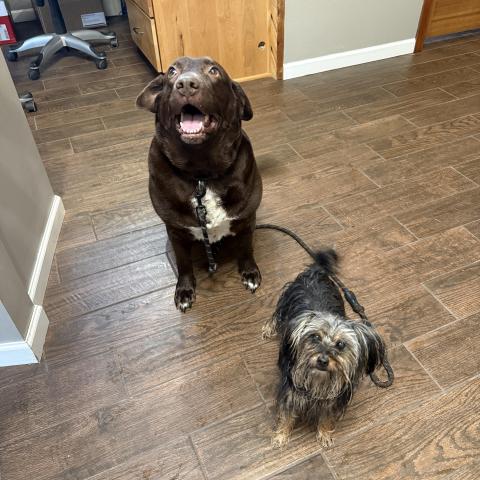 Photo for 158546 [fr158546]