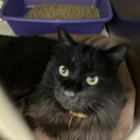 Photo for 158558 [Cambium]