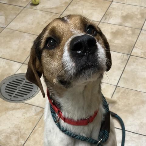 Photo for 158591 [Chase]