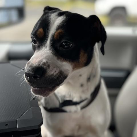 Photo for 158593 [Virga]