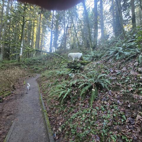 Photo for 158599 [Hero]