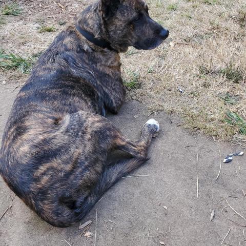 Photo for 158605 [Max]