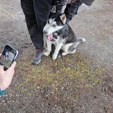 Photo for 158607 [fr158607]