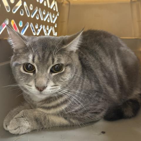 Photo for 158609 [Sheldon]