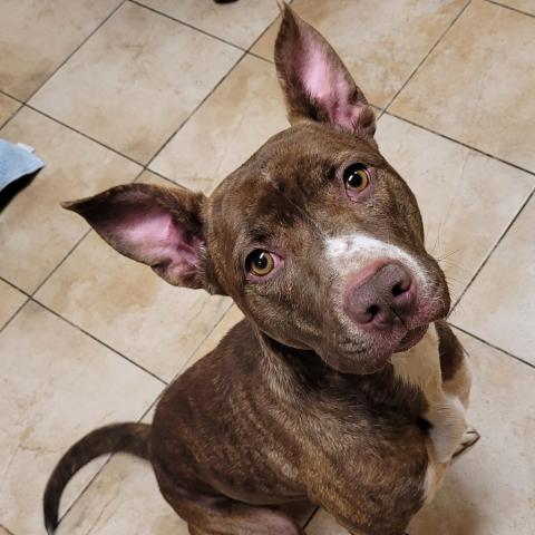 Photo for 158620 [Baby Girl]