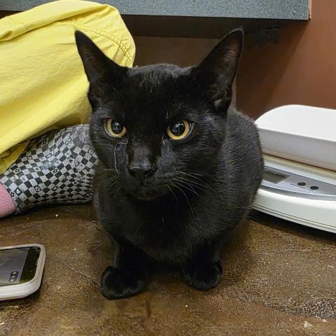 Photo for 158629 [Kevan]