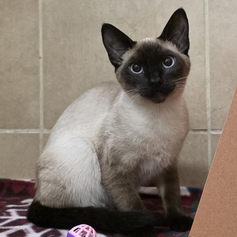 Photo for 158635 [Breezy]