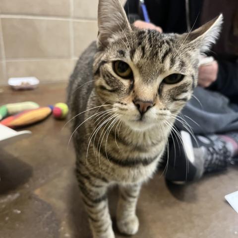 Photo for 158641 [Emma]