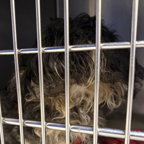 Photo for 158660 [385763]