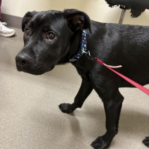 Photo for 158685 [fr158685]