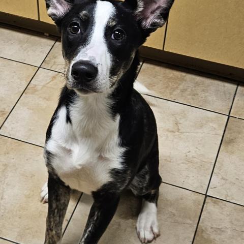 Photo for 158774 [Fanny]