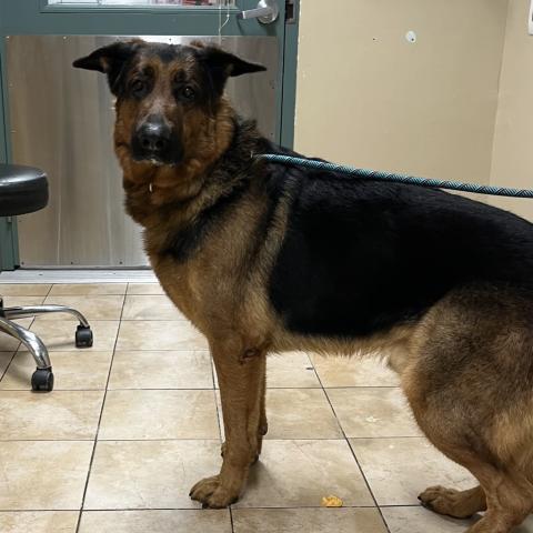 Photo for 158783 [Lucas]