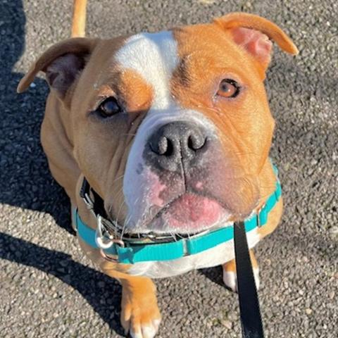 Photo for 158872 [Chum Chum]