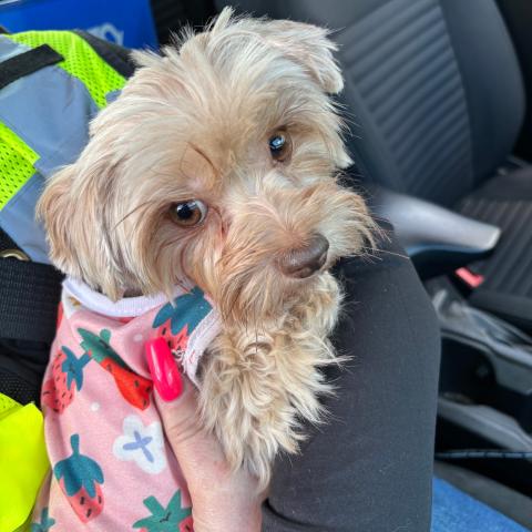 Photo for 158908 [fr158908]