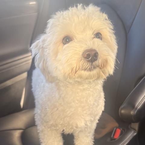 Photo for 158913 [Jackson]