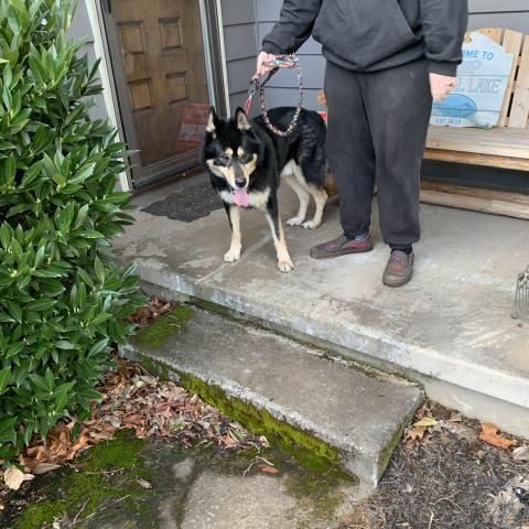 Photo for 158919 [fr158919]