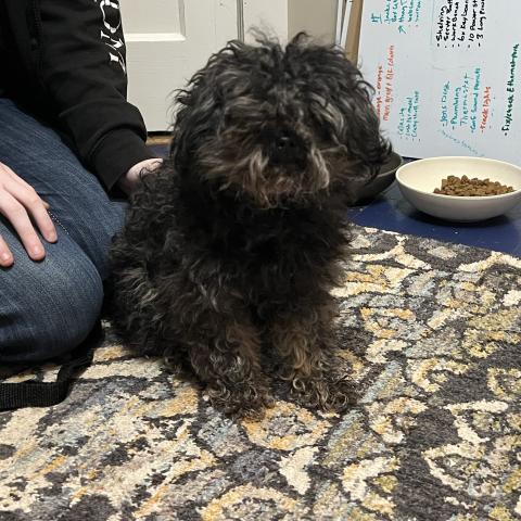 Photo for 158923 [fr158923]