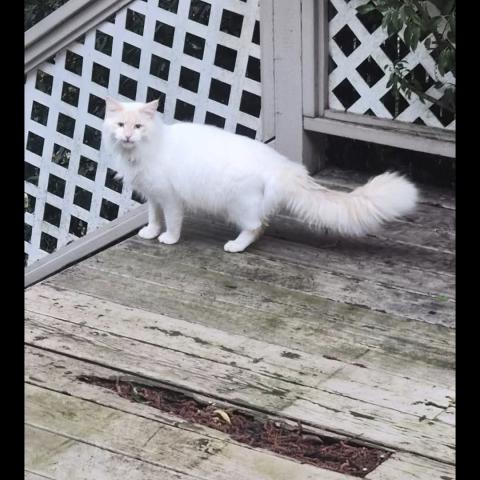 Photo for 158925 [fr158925]