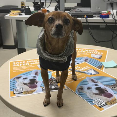 Photo for 158932 [Clamity]