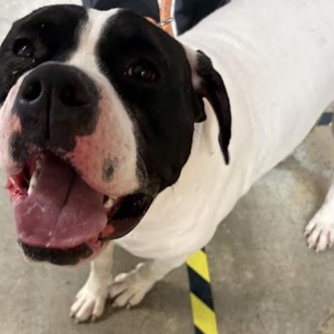 Photo for 158969 [The Mountain]