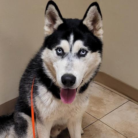 Photo for 159015 [Cyber]