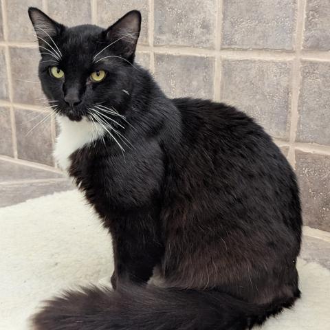 Photo for 159020 [Krish]