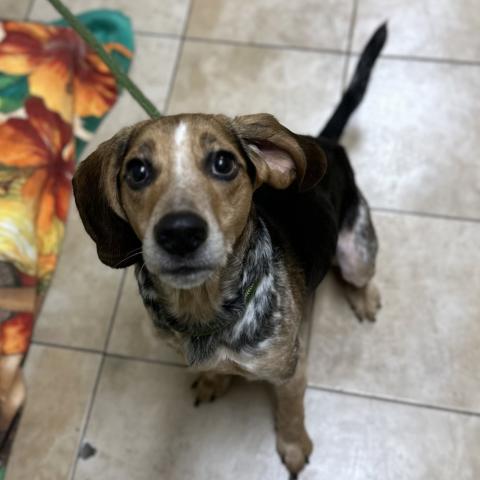 Photo for 159088 [Titus]