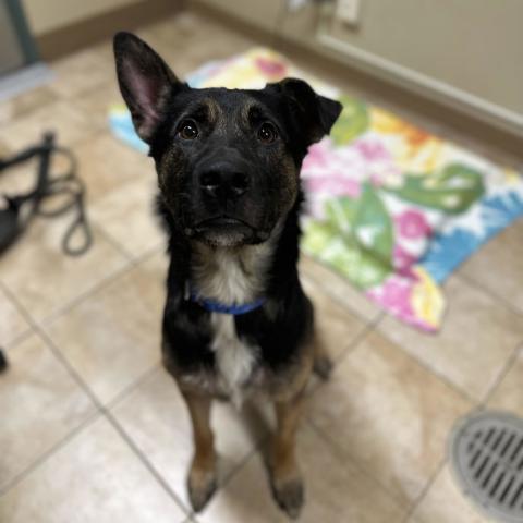 Photo for 159125 [Star]