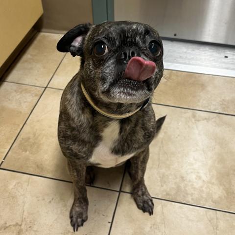 Photo for 159141 [Lupin]