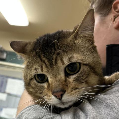 Photo for 159158 [Mooky]