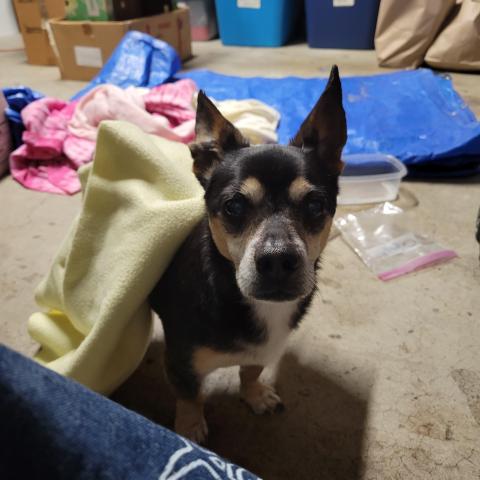 Photo for 159169 [ Unknown]