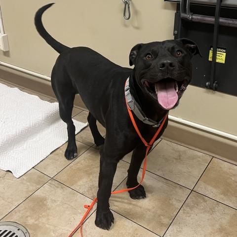 Photo for 159185 [King]