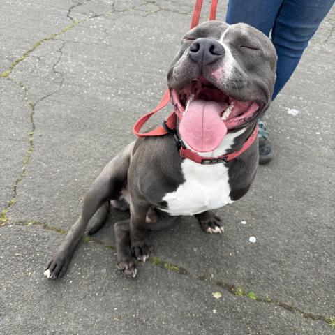 Photo for 159193 [Unknown ]