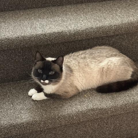 Photo for 159195 [Frances]