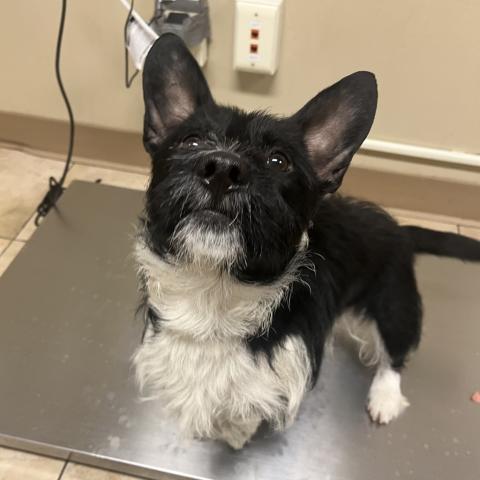 Photo for 159214 [Toto]