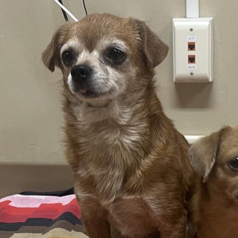 Photo for 159262 [Alan]