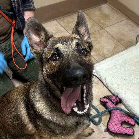 Photo for 159288 [Tom]