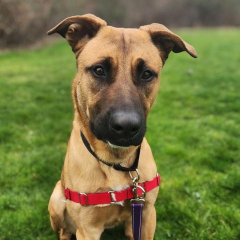 Photo for 159320 [Chance]