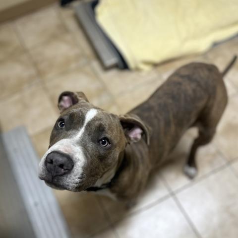 Photo for 159336 [Bran]