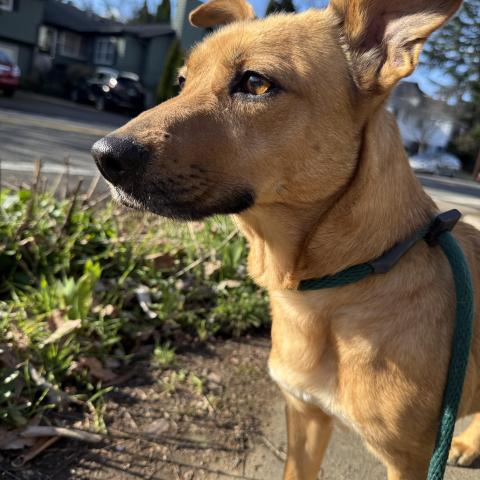 Photo for 159348 [fr159348]