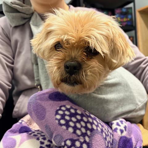 Photo for 159361 [fr159361]