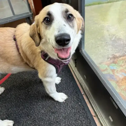 Photo for 159365 [fr159365]