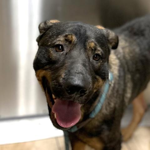 Photo for 159387 [Sienna]