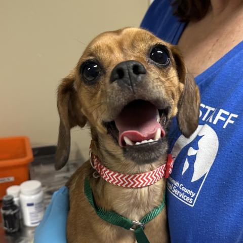 Photo for 159402 [Sinead]