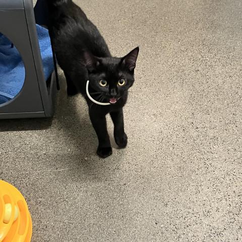 Photo for 159414 [fr159414]